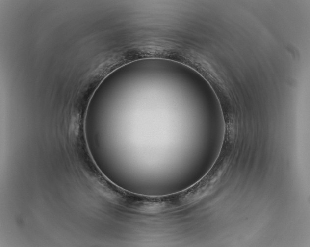 X0000112890458200908211457