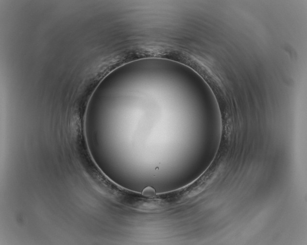 X0000112890459200908211457