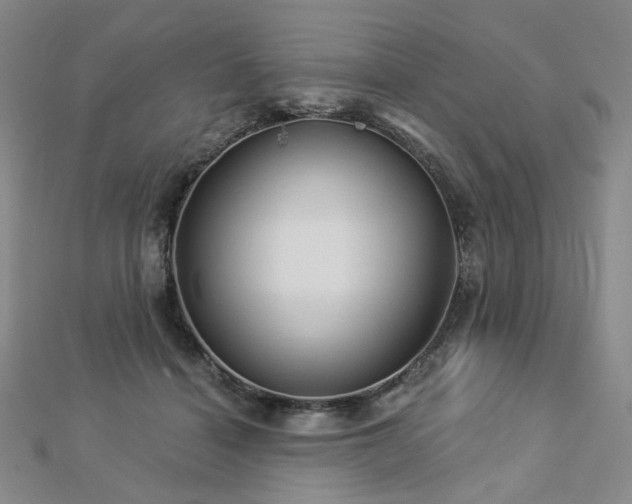 X0000112890460200908211457