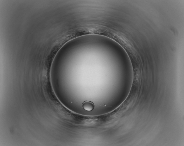 X0000112890461200908211457