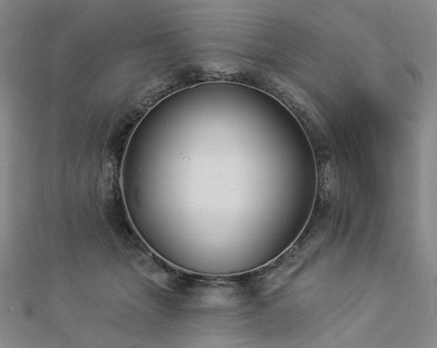 X0000112890463200908211457