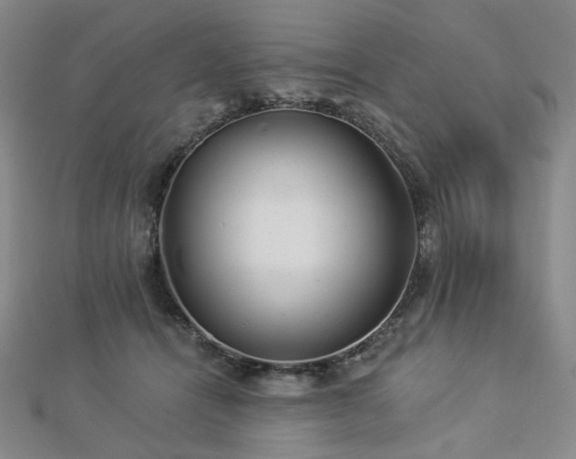 X0000112890464200908211457