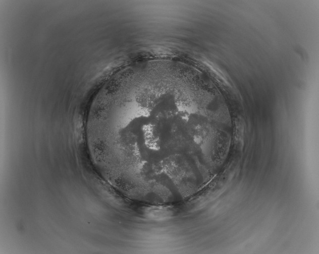 X0000112890465200908211457