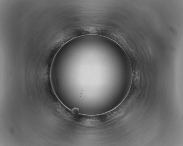 X0000112890466200908211457
