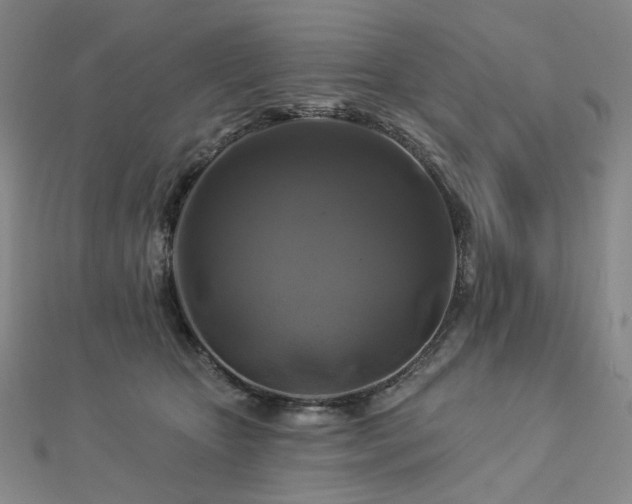 X0000112890467200908211457