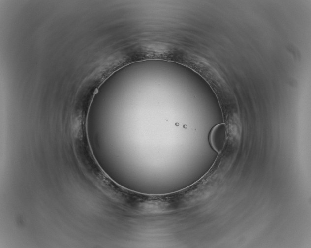 X0000112890468200908211457