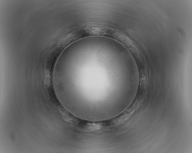 X0000112890469200908211457