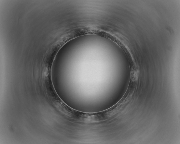 X0000112890472200908211457