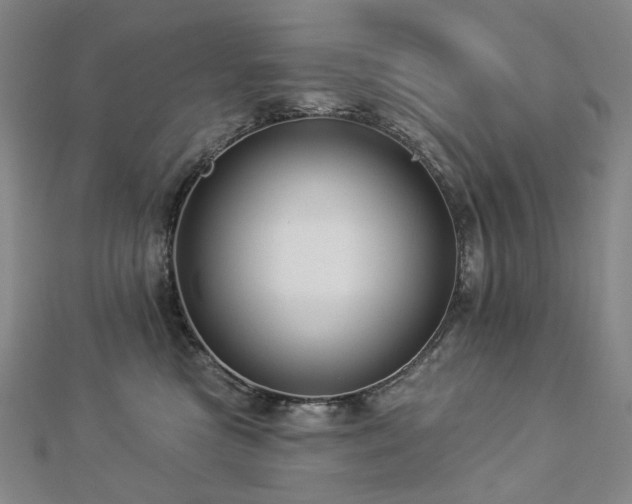 X0000112890473200908211457