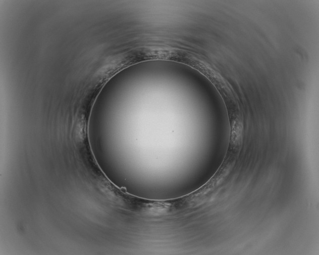 X0000112890474200908211457