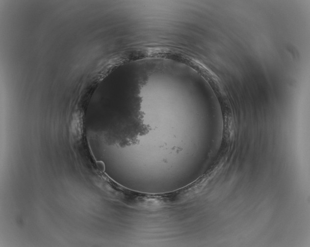 X0000112890475200908211457