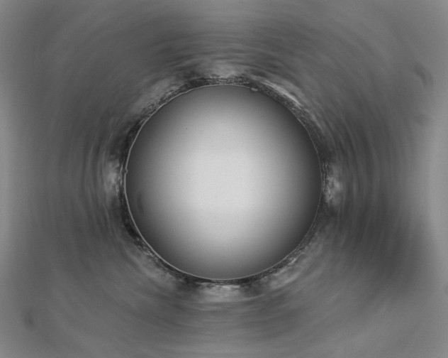 X0000112890476200908211457