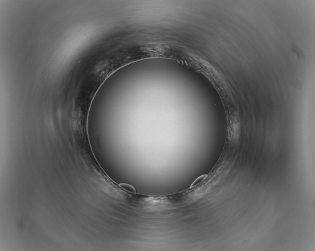 X0000112890477200908211457