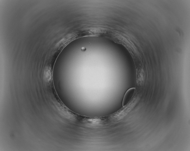 X0000112890478200908211458
