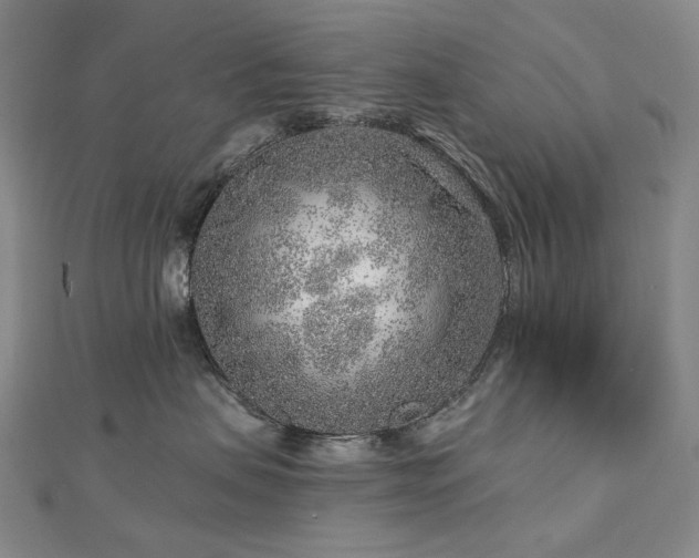 X0000112890479200908211458