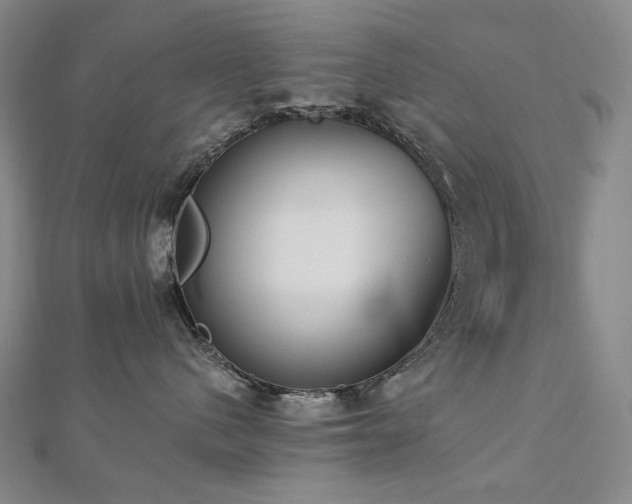 X0000112890480200908211458