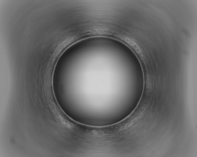 X0000112890481200908211457