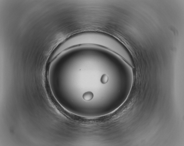 X0000112890485200908211457