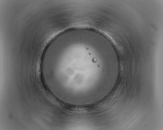 X0000112890487200908211457