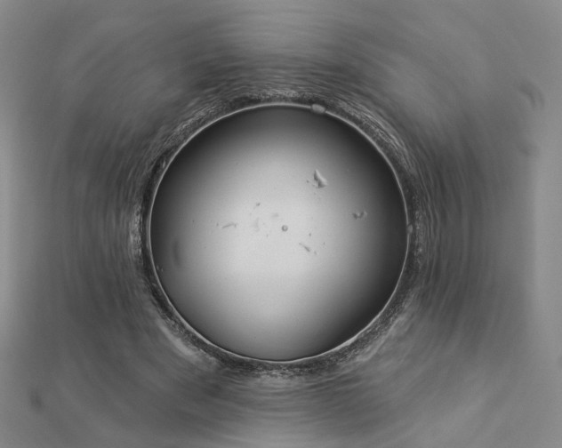X0000112890489200908211457