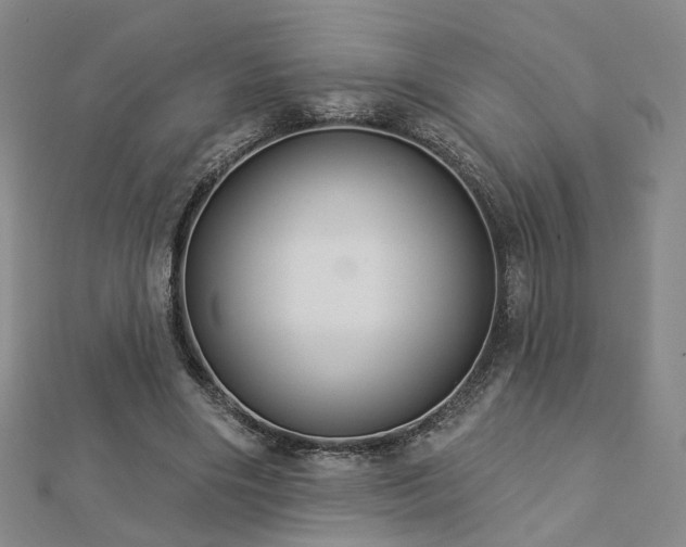 X0000112890490200908211457