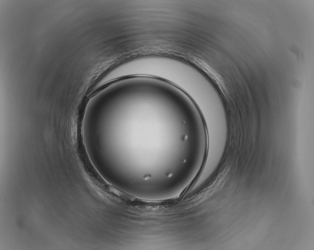 X0000112890493200908211457