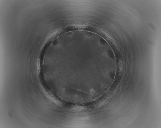 X0000112890494200908211457