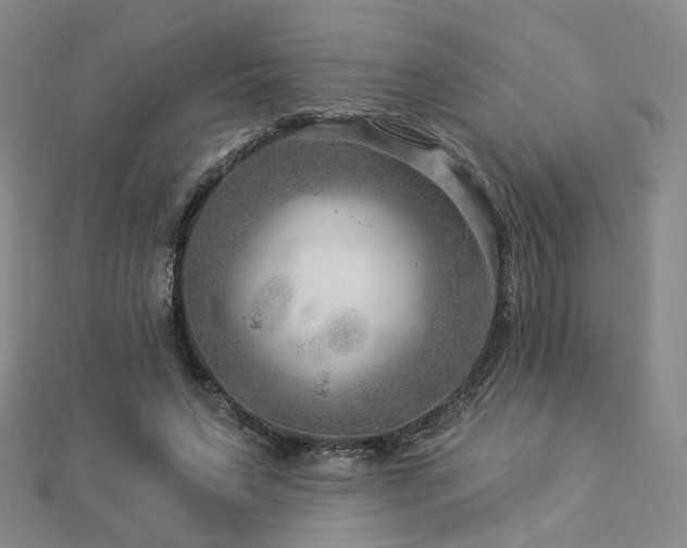 X0000112890495200908211457
