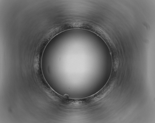X0000112890497200908211457