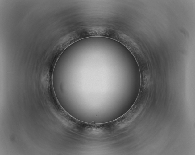 X0000112890498200908211457