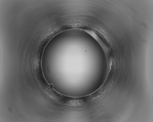 X0000112890499200908211457