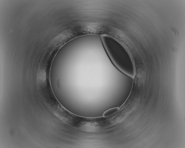 X0000112890500200908211457