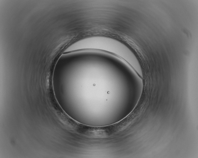 X0000112890501200908211457