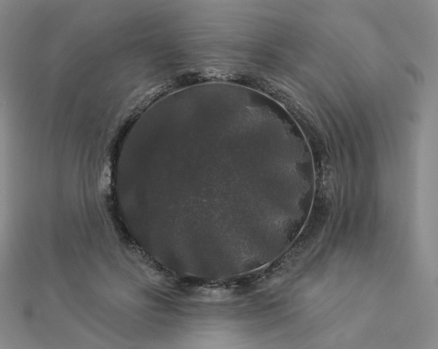 X0000112890502200908211457