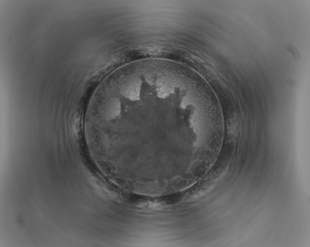 X0000112890503200908211457