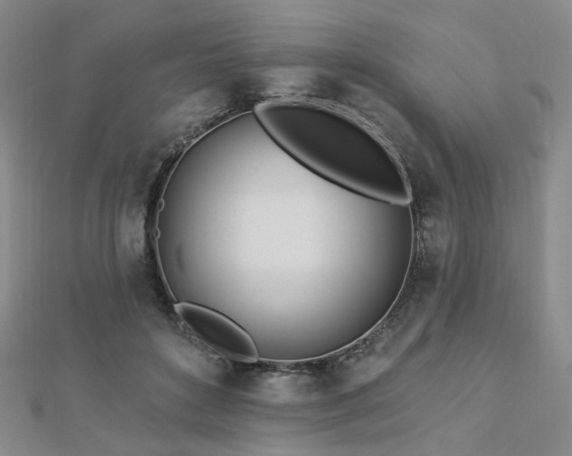 X0000112890504200908211457