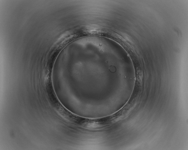 X0000112890507200908211457