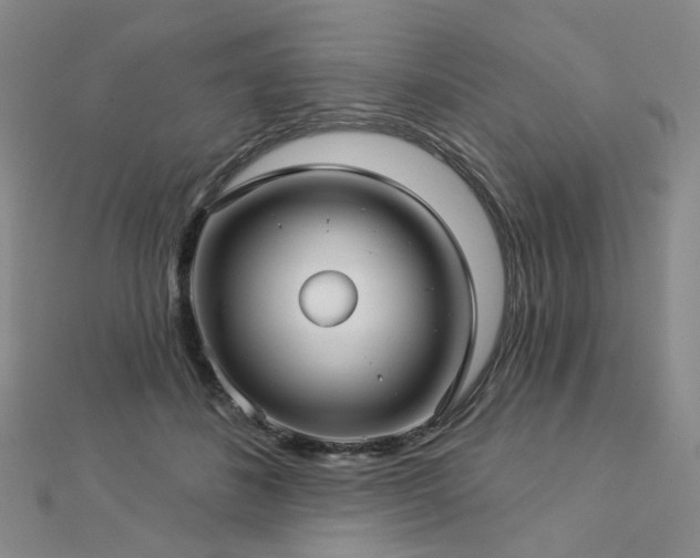 X0000112890508200908211457