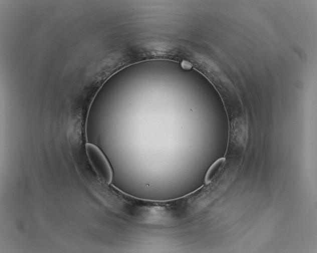 X0000112890509200908211457