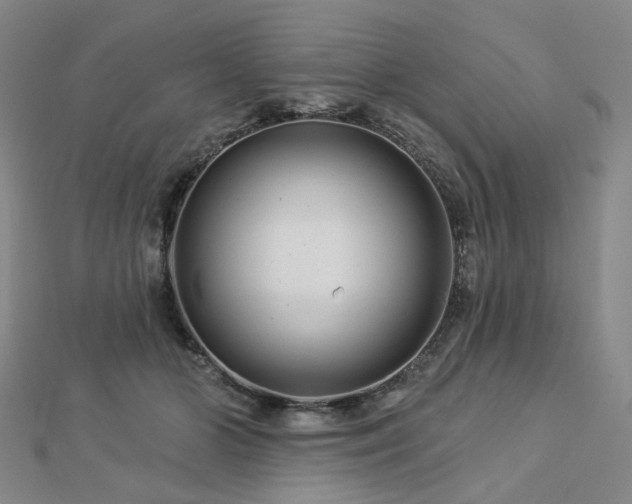 X0000112890510200908211457