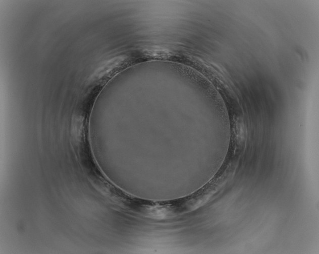 X0000112890511200908211457