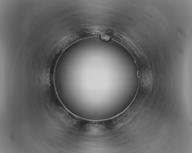 X0000112890512200908211457