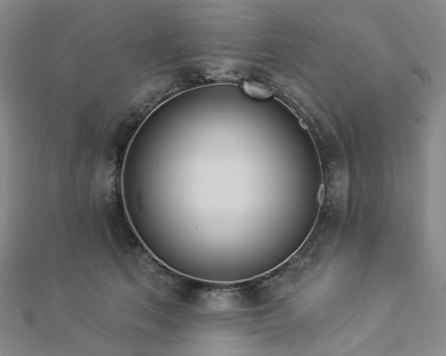 X0000112890513200908211457