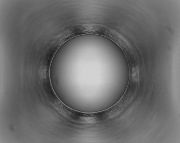 X0000112890514200908211456