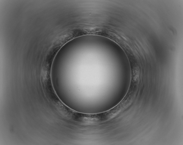 X0000112890515200908211456