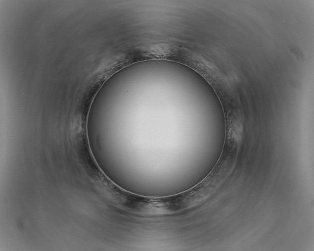 X0000112890518200908211456