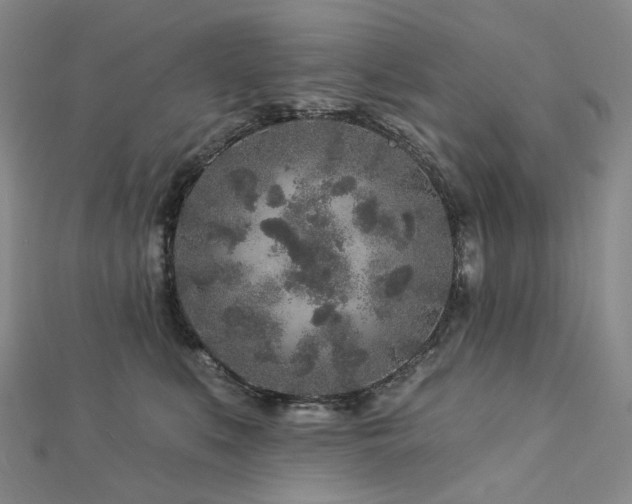 X0000112890519200908211456