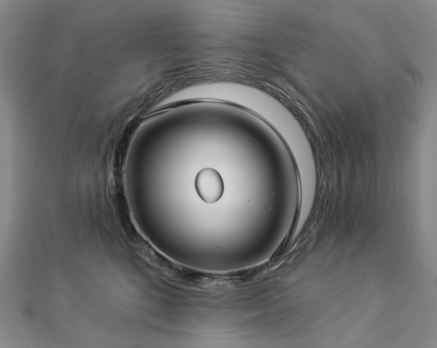 X0000112890520200908211456