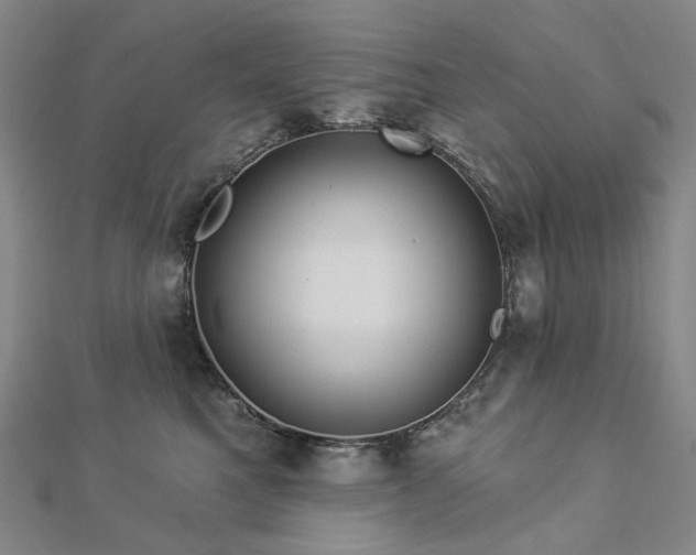 X0000112890521200908211456