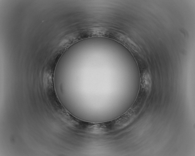 X0000112890522200908211456